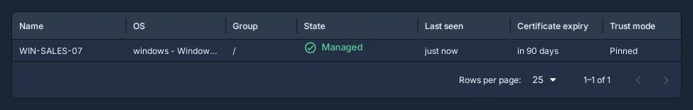 Fleet, Nodes after the restore: the computer is Managed and was last seen just now.